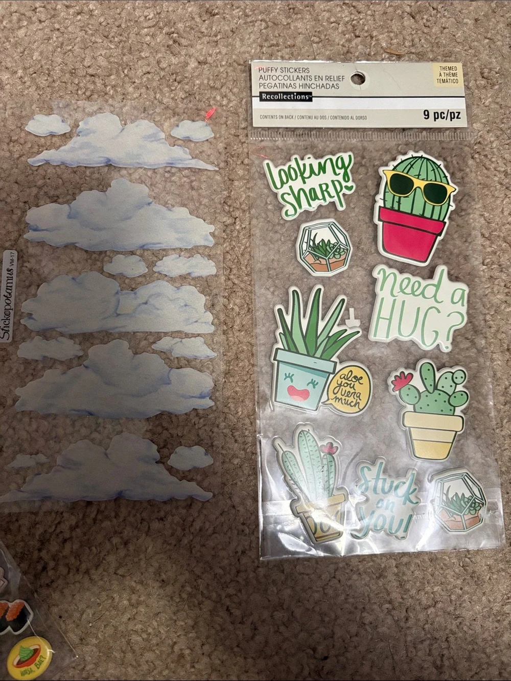 Assorted 3D & Puffy Sticker Packs - Food, Plants, Clouds, The Polar Express